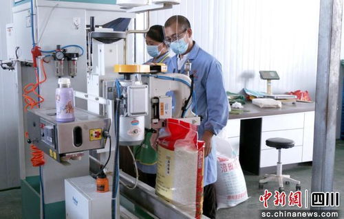 自動化設(shè)備賦能 廣元朝天企業(yè)如何借力提升產(chǎn)能搶占市場先機